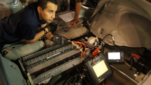 Curso Hibridos en Ecuador